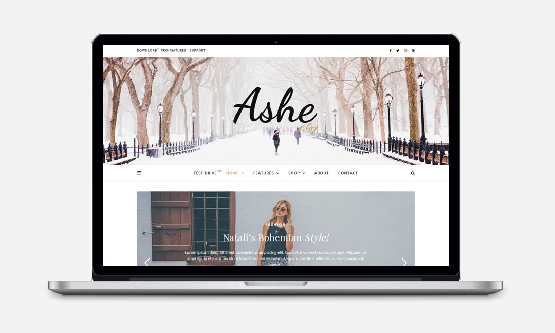 Ashe wordpress theme